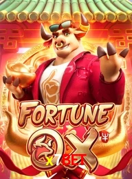 X7BET.COM