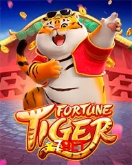 X7BET.COM